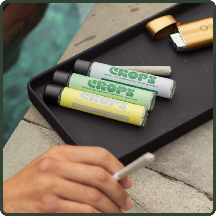 some crops pre-rolls on a rolling tray beside a pool. Beside the tray is a hand holding a pre-roll