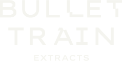 Bullet Train logo, white