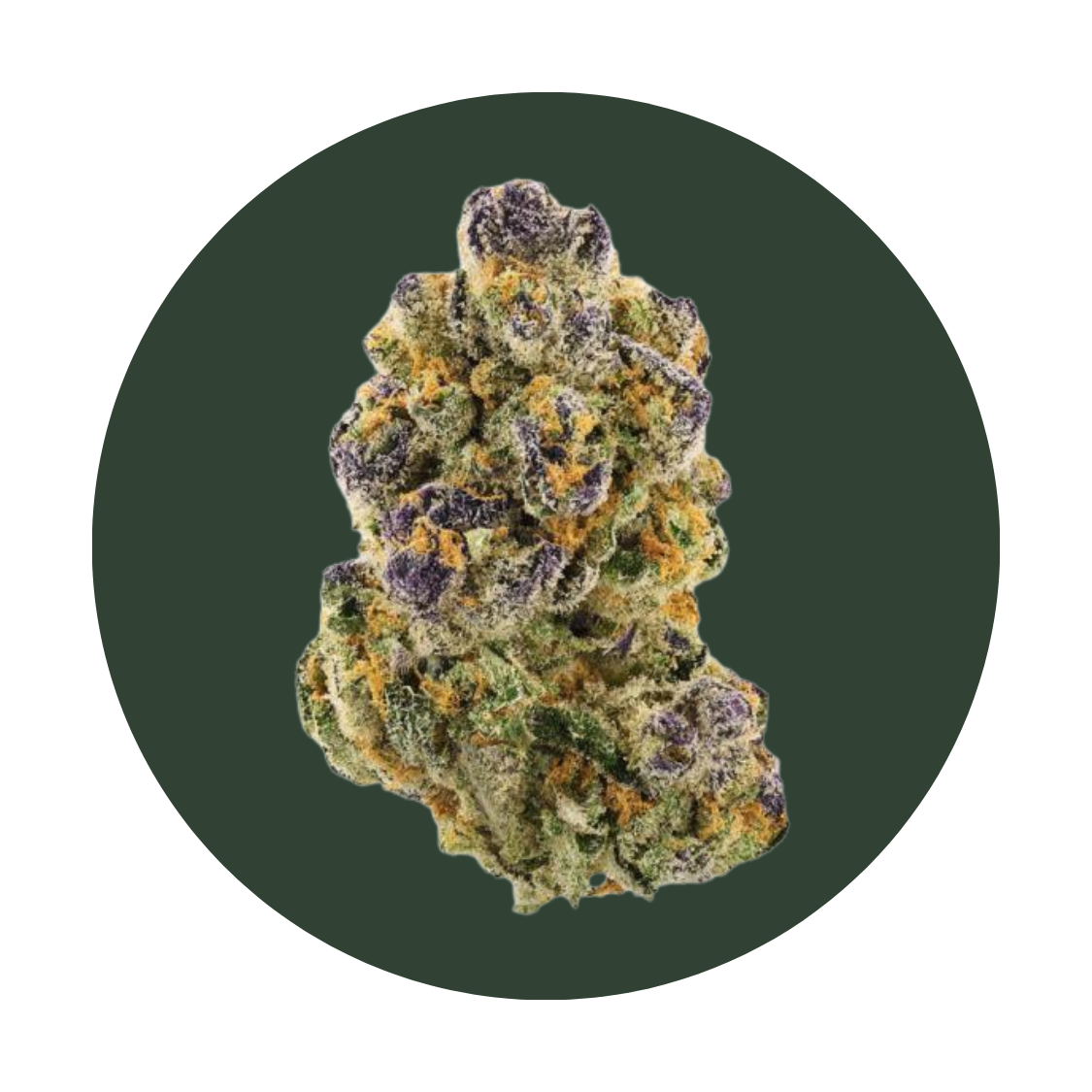 Animal Mint strain