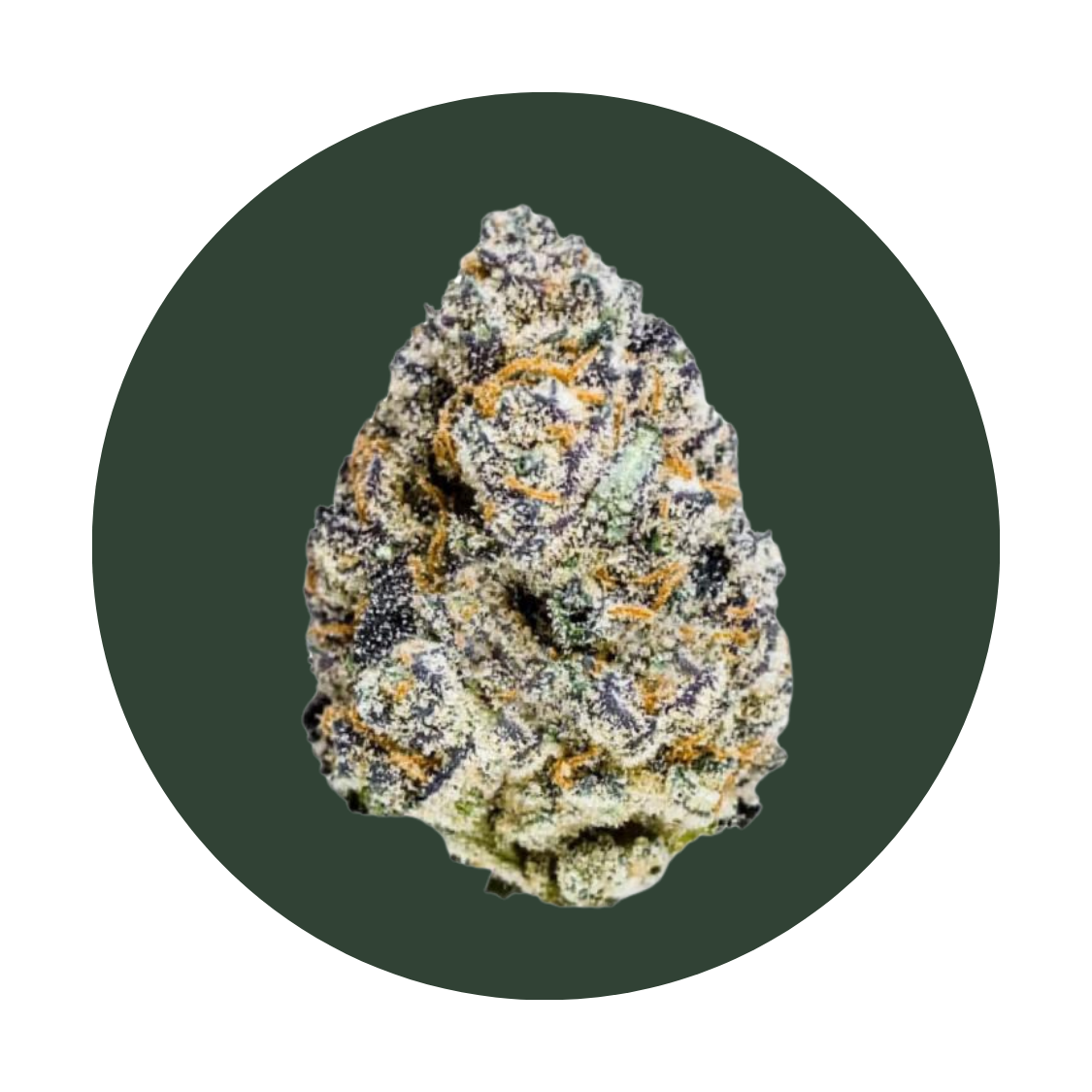 Black Amber strain
