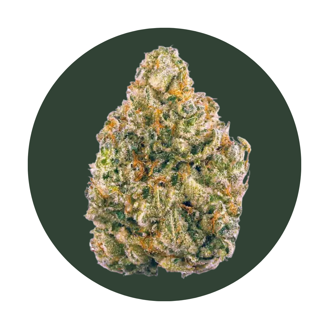 Banana Puddintain strain