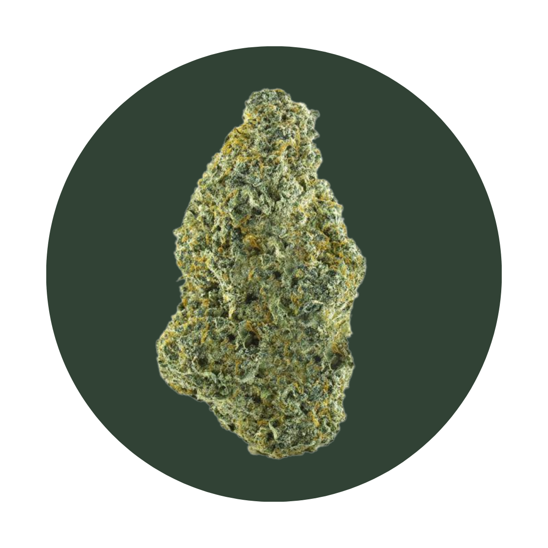 Bananashack strain