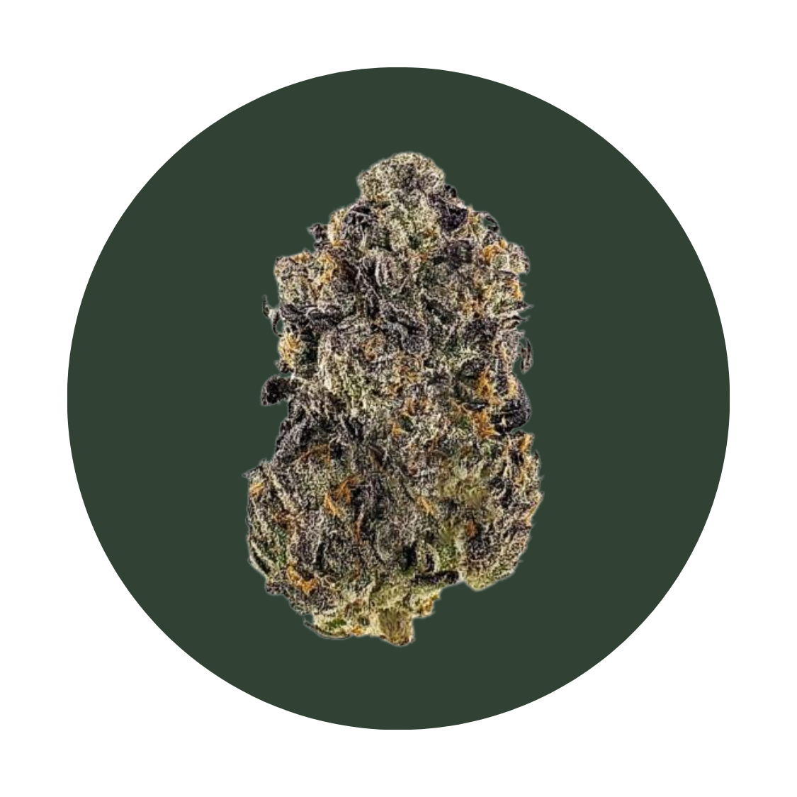 Bling Blaow strain