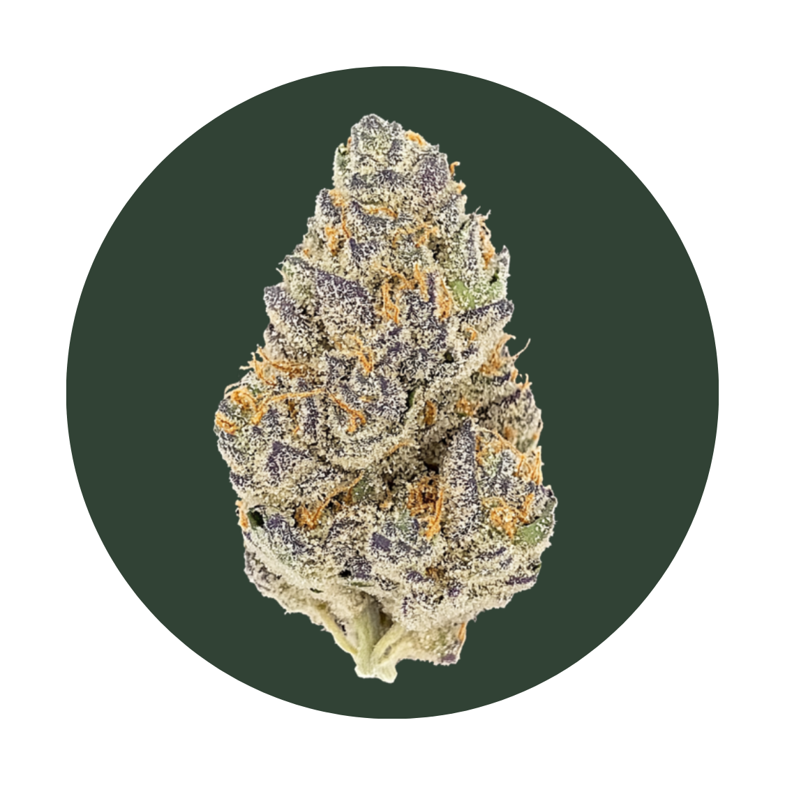 Blue Dream strain