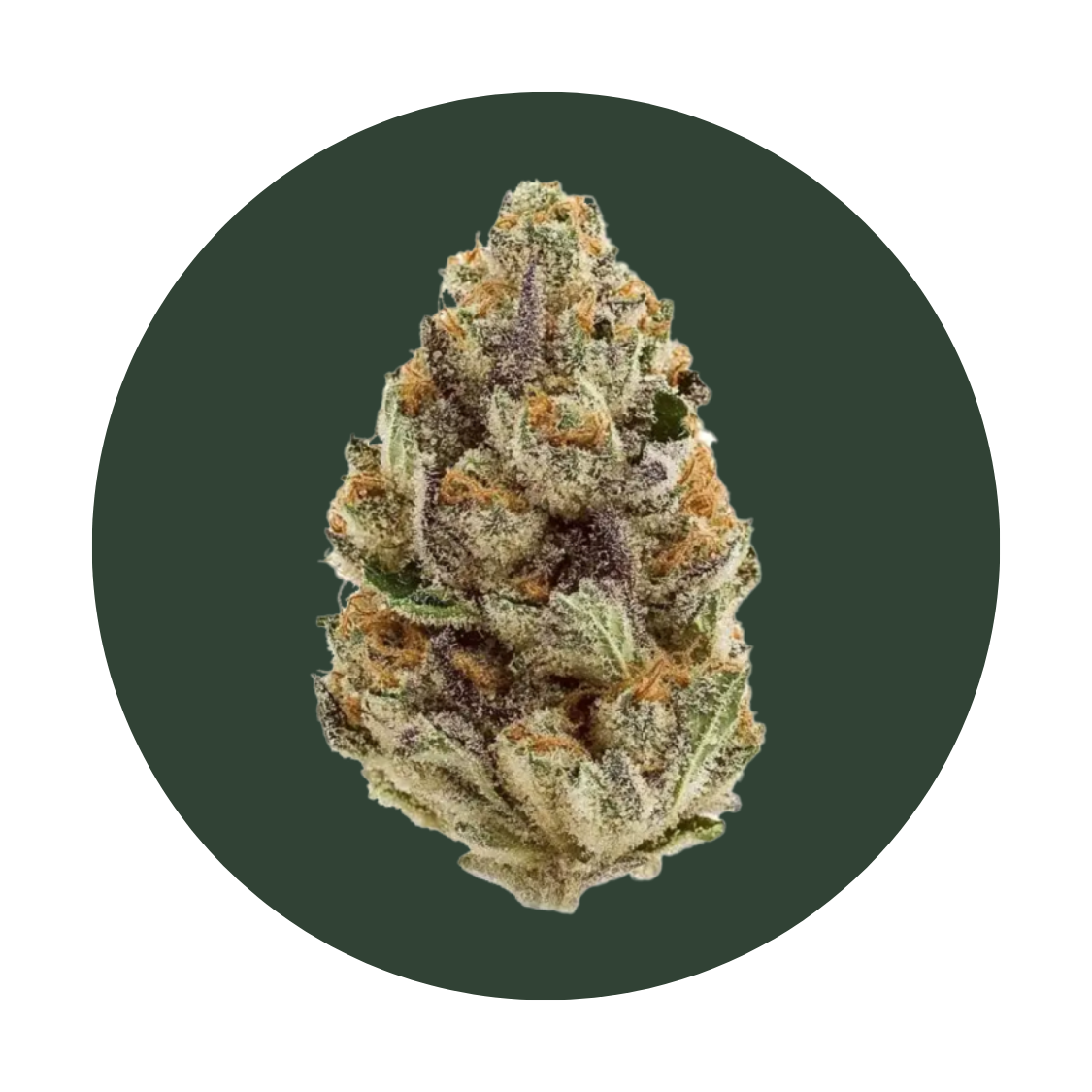 Blue Zushi strain