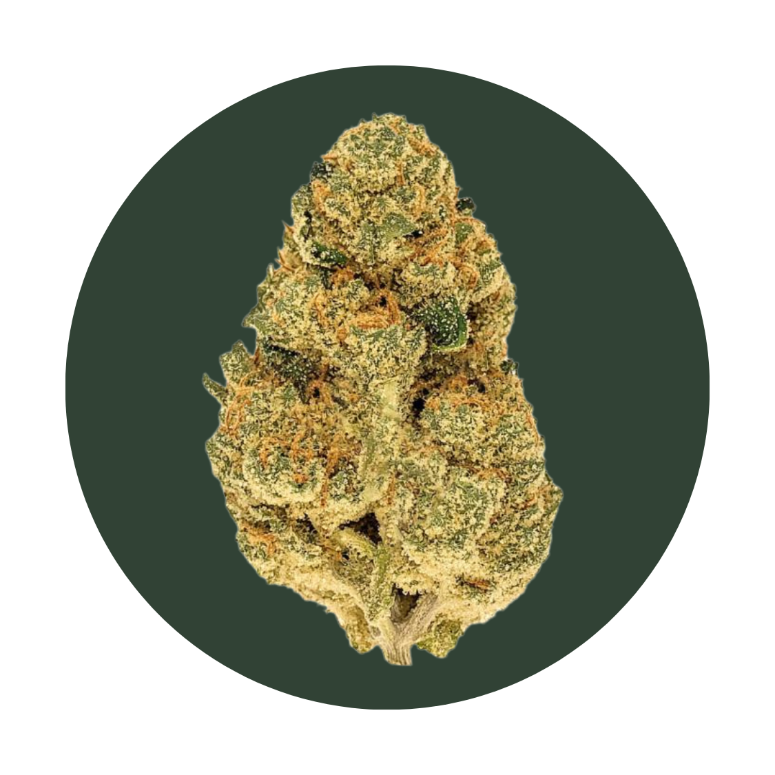 Blueberry Banana Pancake strain