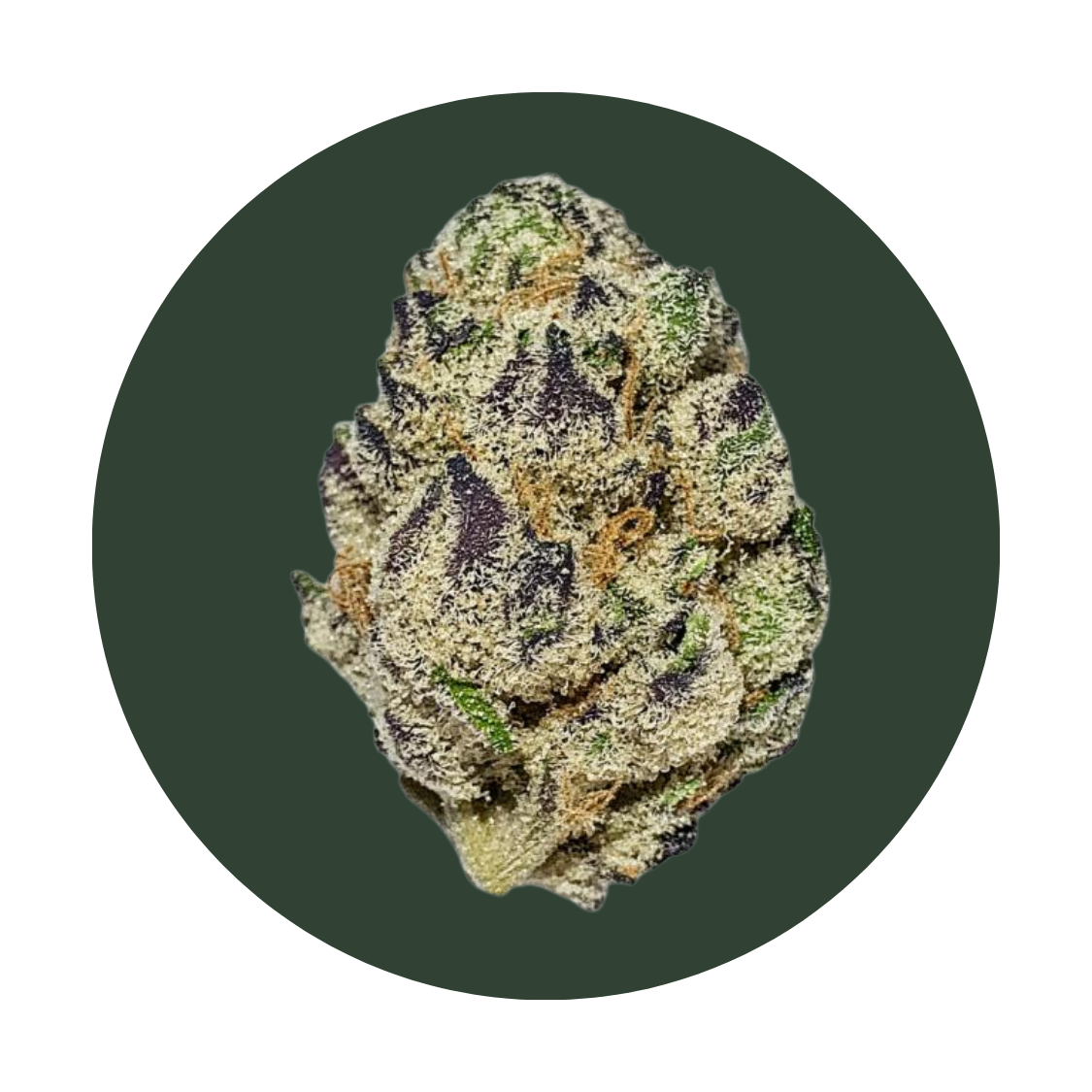 Blueberry Deisel strain