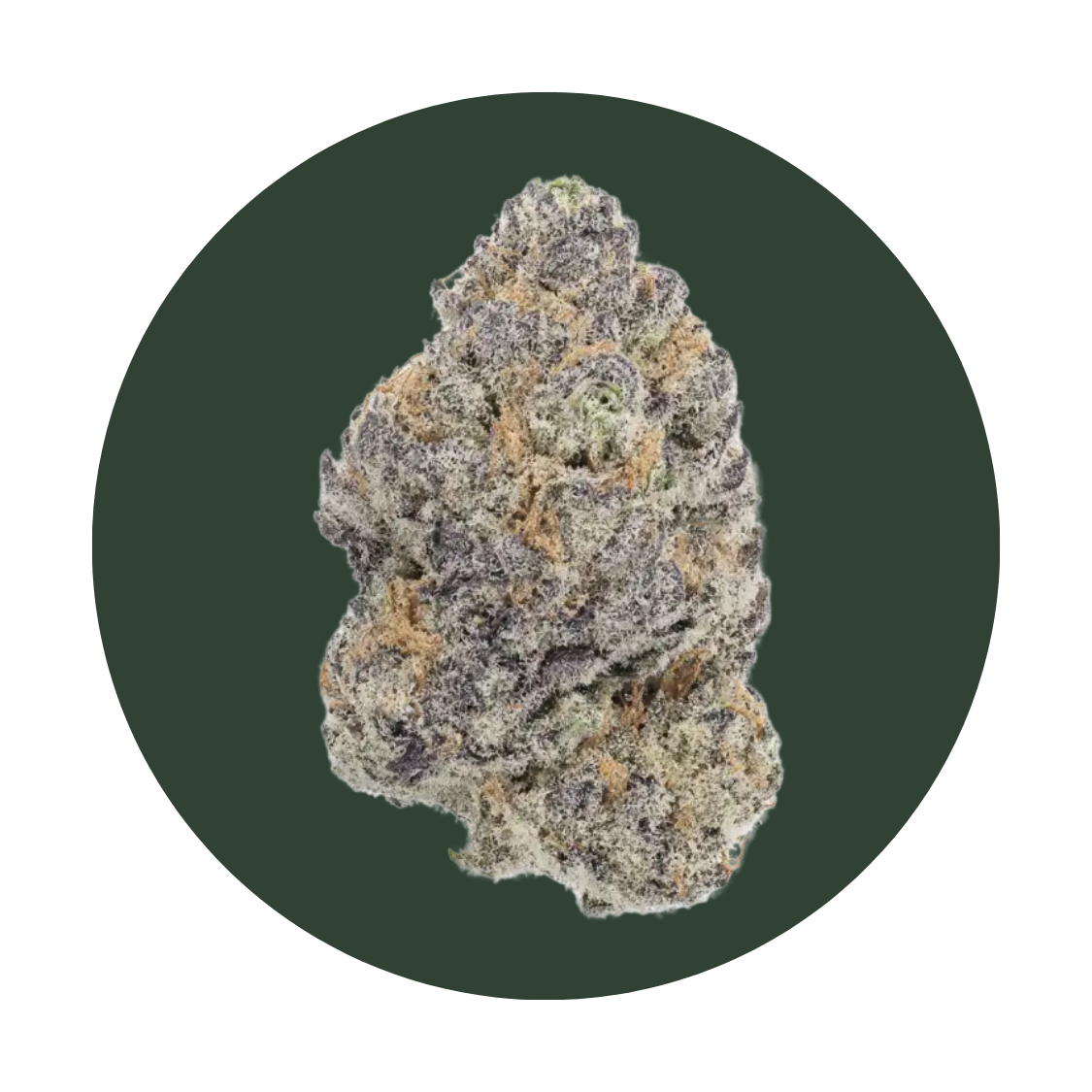 Booberry Cookies strain