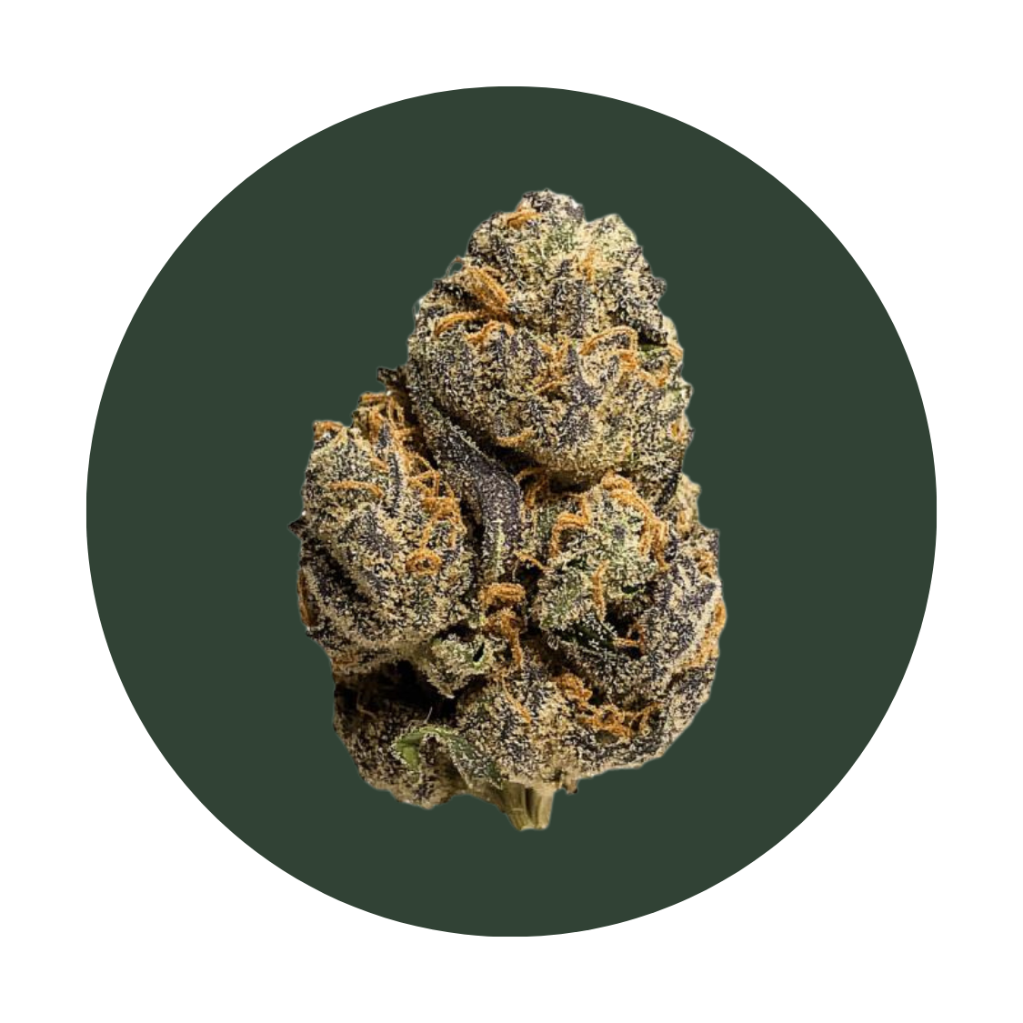 Blue Zushi strain