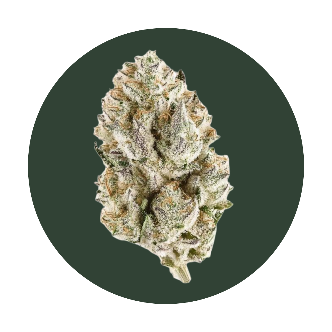Bubblegum B strain