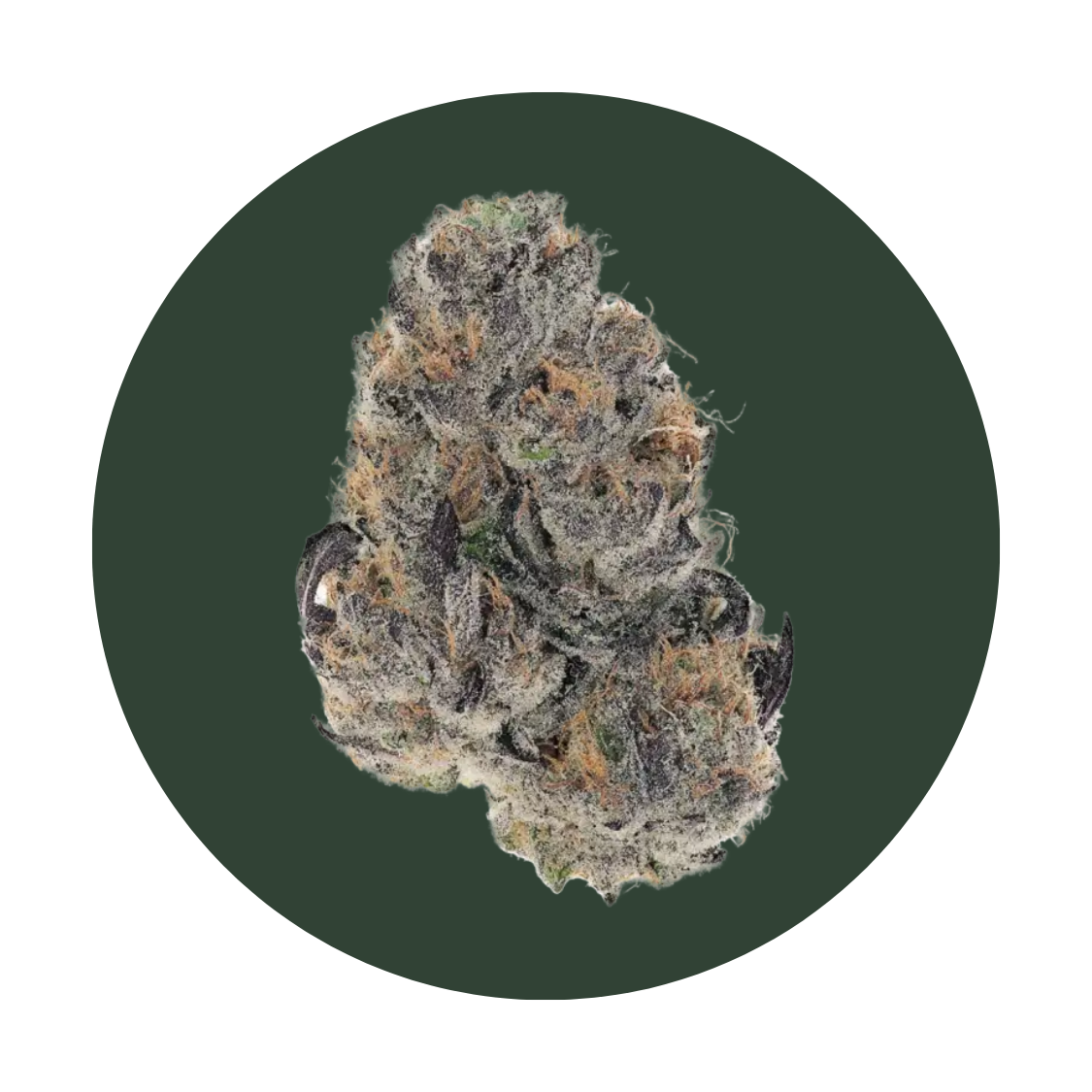 Bubblez strain