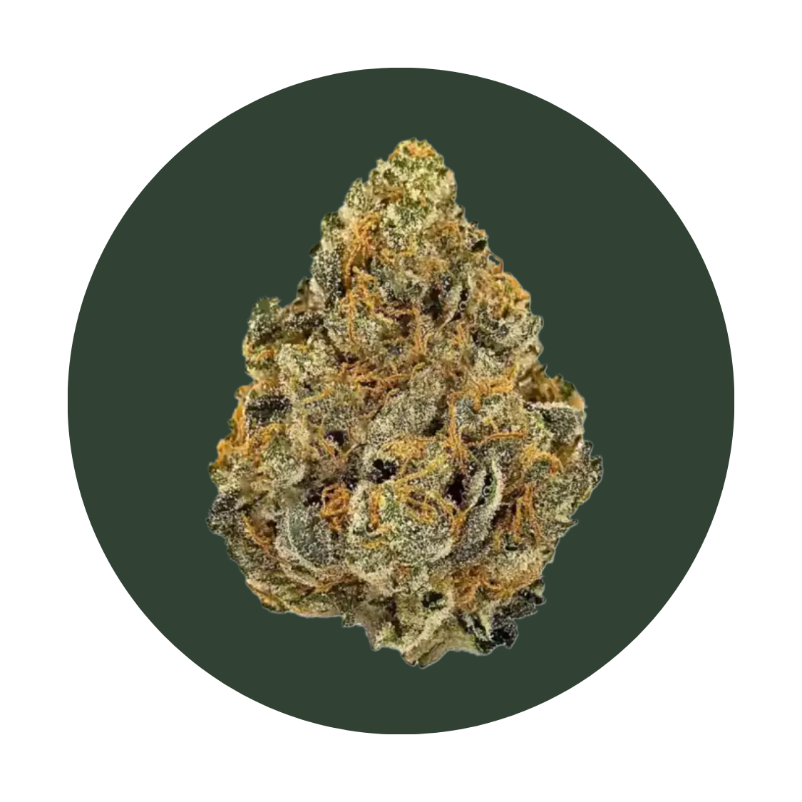 Cadillac Kush strain
