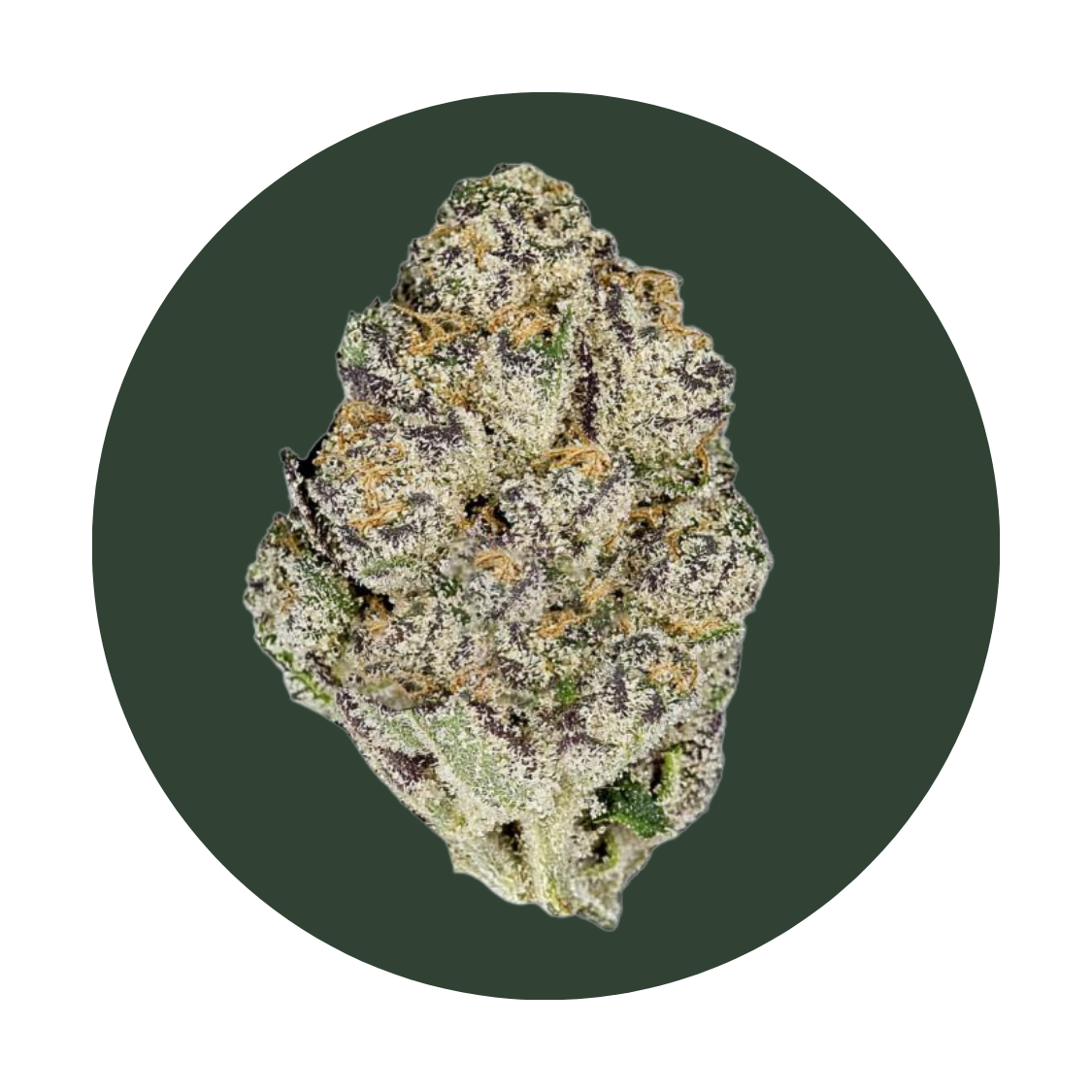 Candy Pave strain