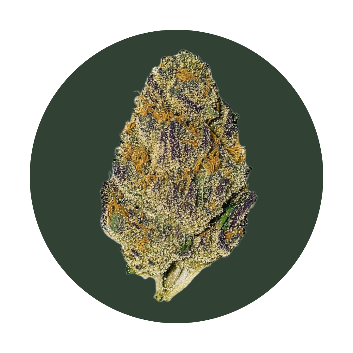 Chem Crasher strain