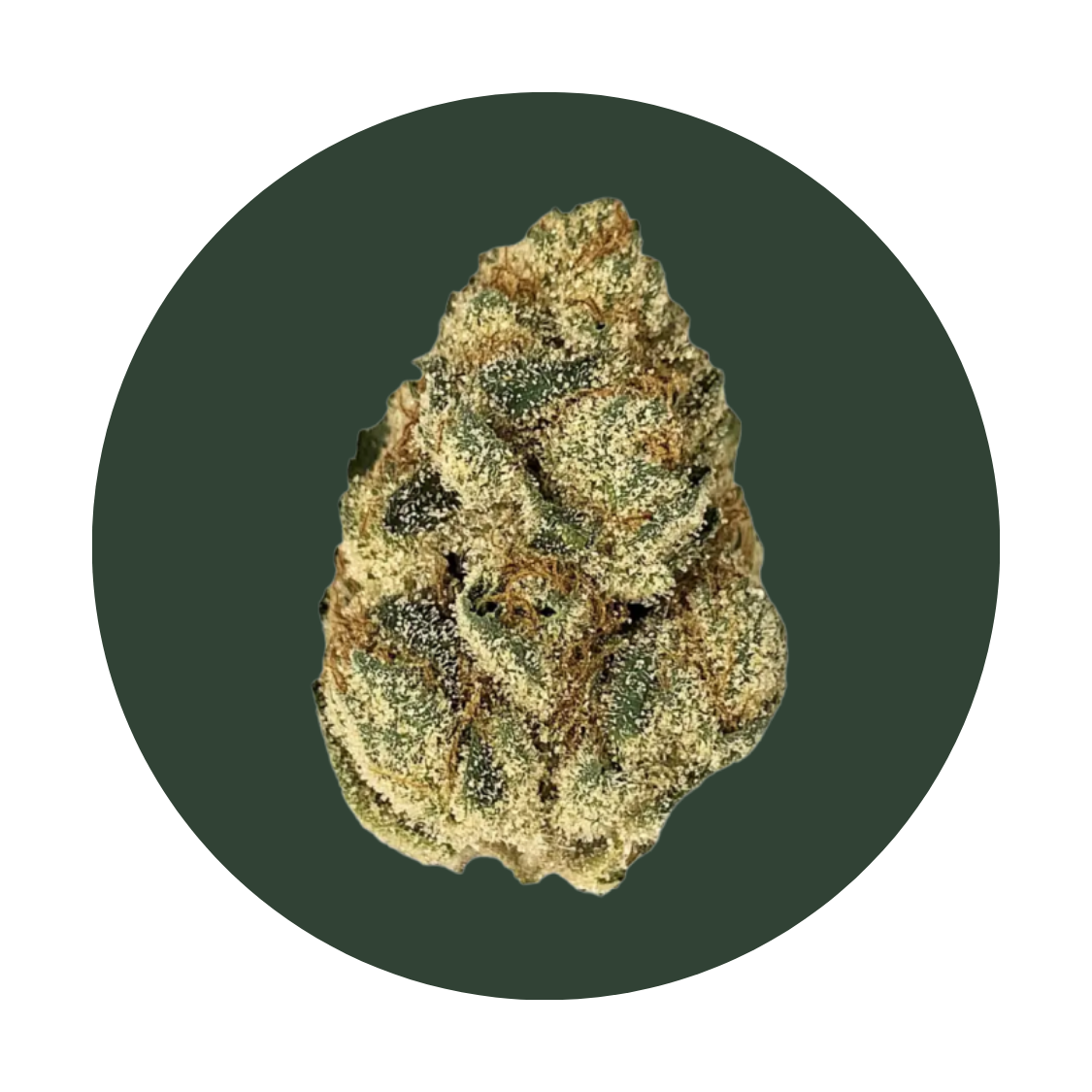 Chemlatto strain