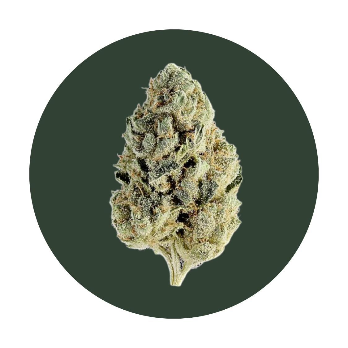 Chicken and Waffles strain