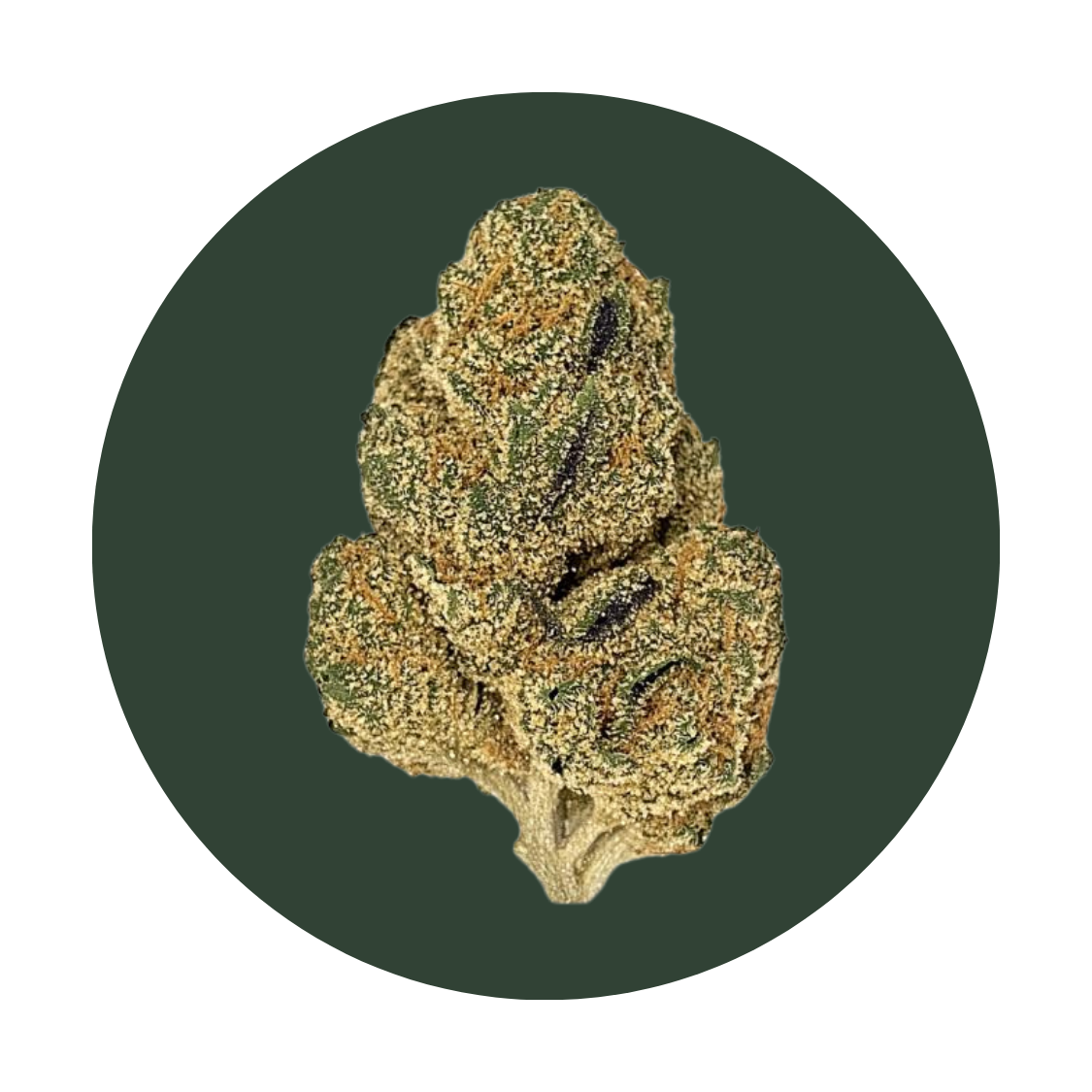 Churros strain