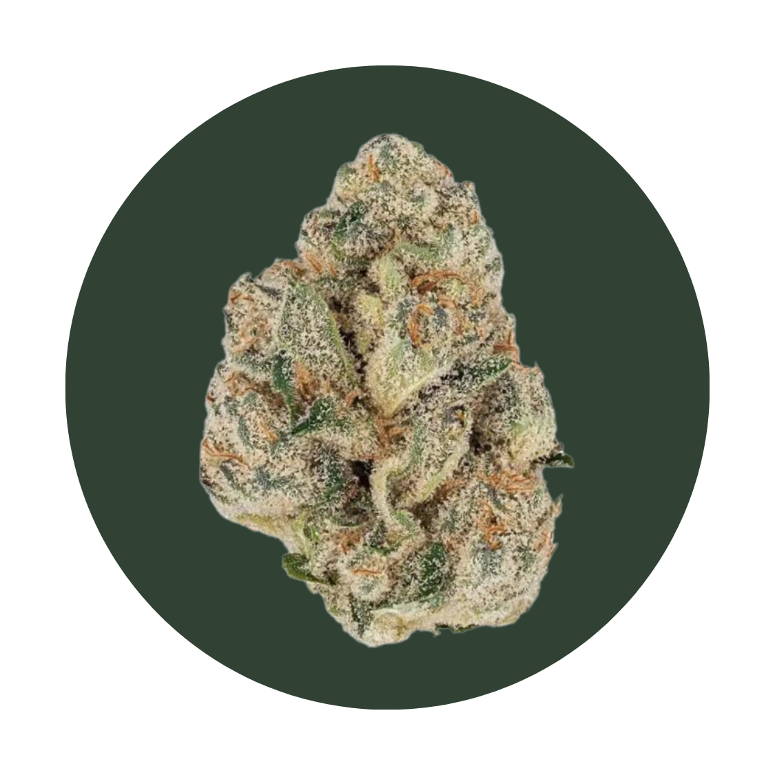 Dantes Inferno strain