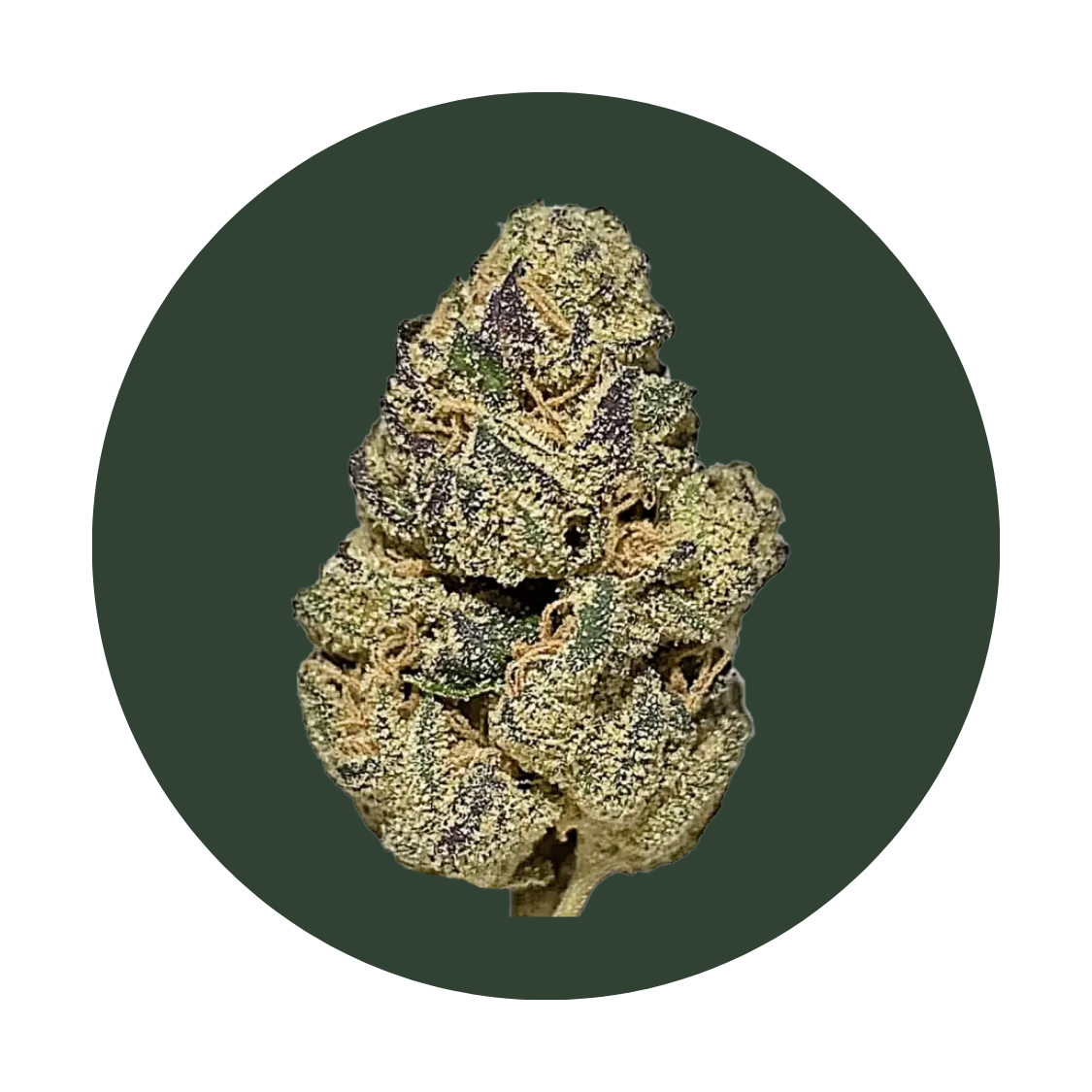 Designer Runtz strain