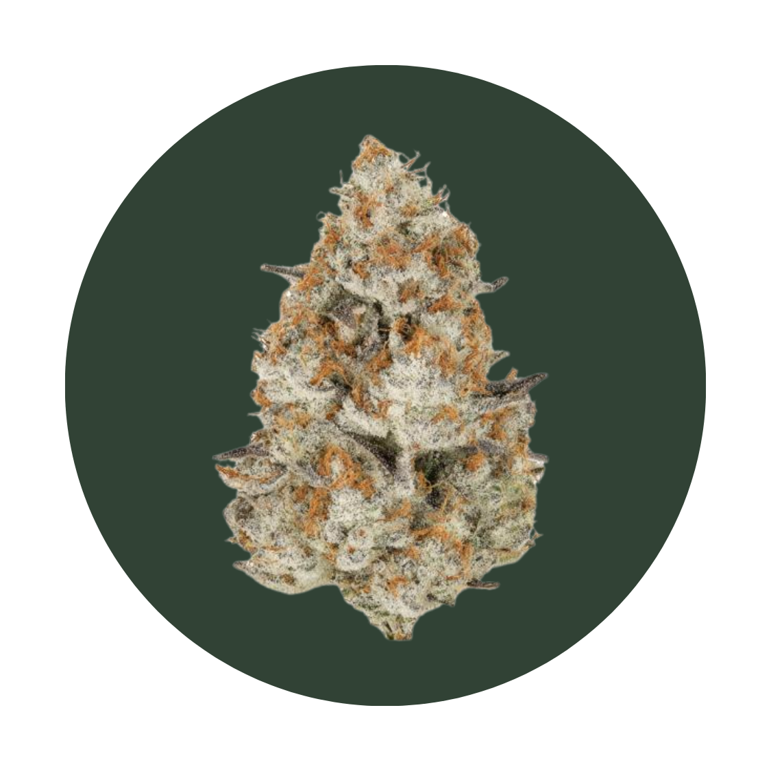 Donny Burger strain
