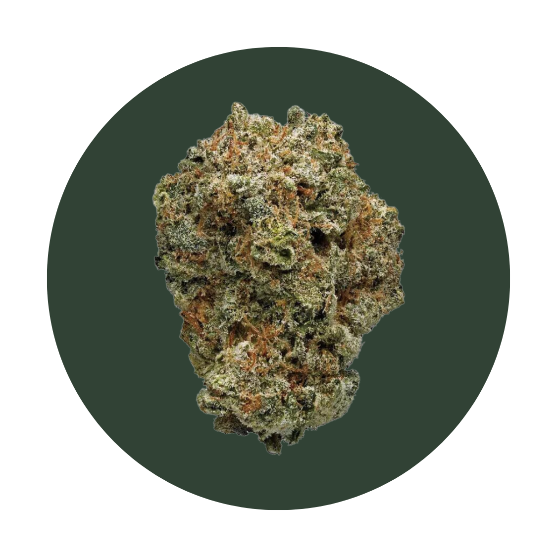 GMO Crasher strain