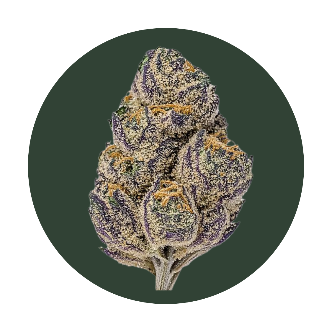 Galactic Gas strain