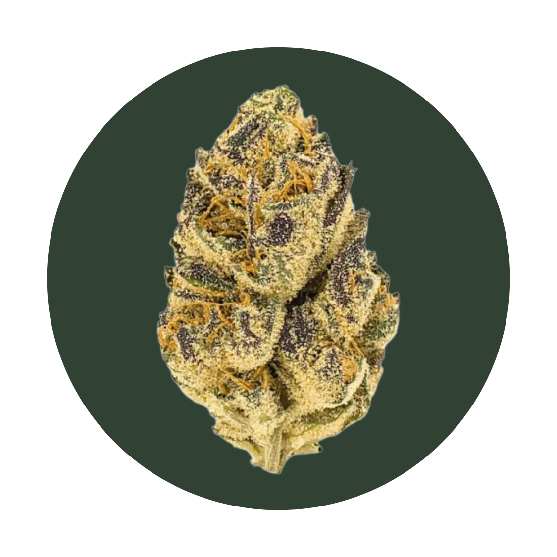 Gazzurple strain