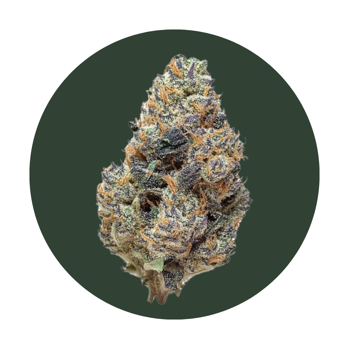 Grape CBN strain