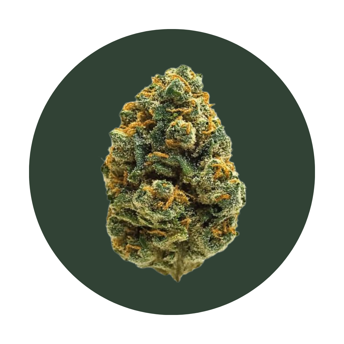 High Society strain