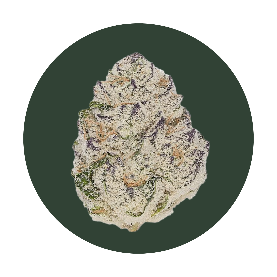 Ice Cream Cookies strain