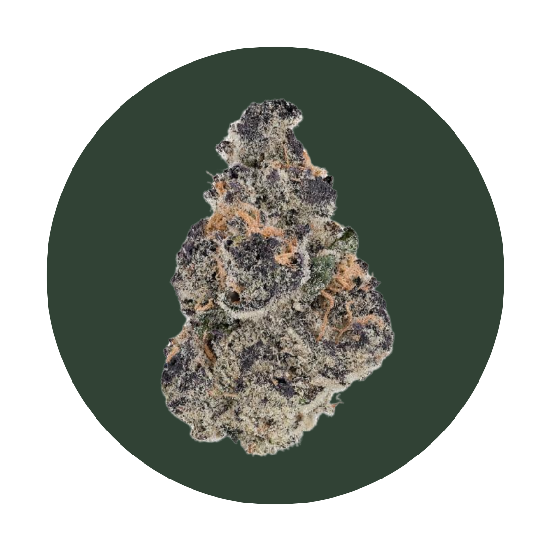 JahMagic strain