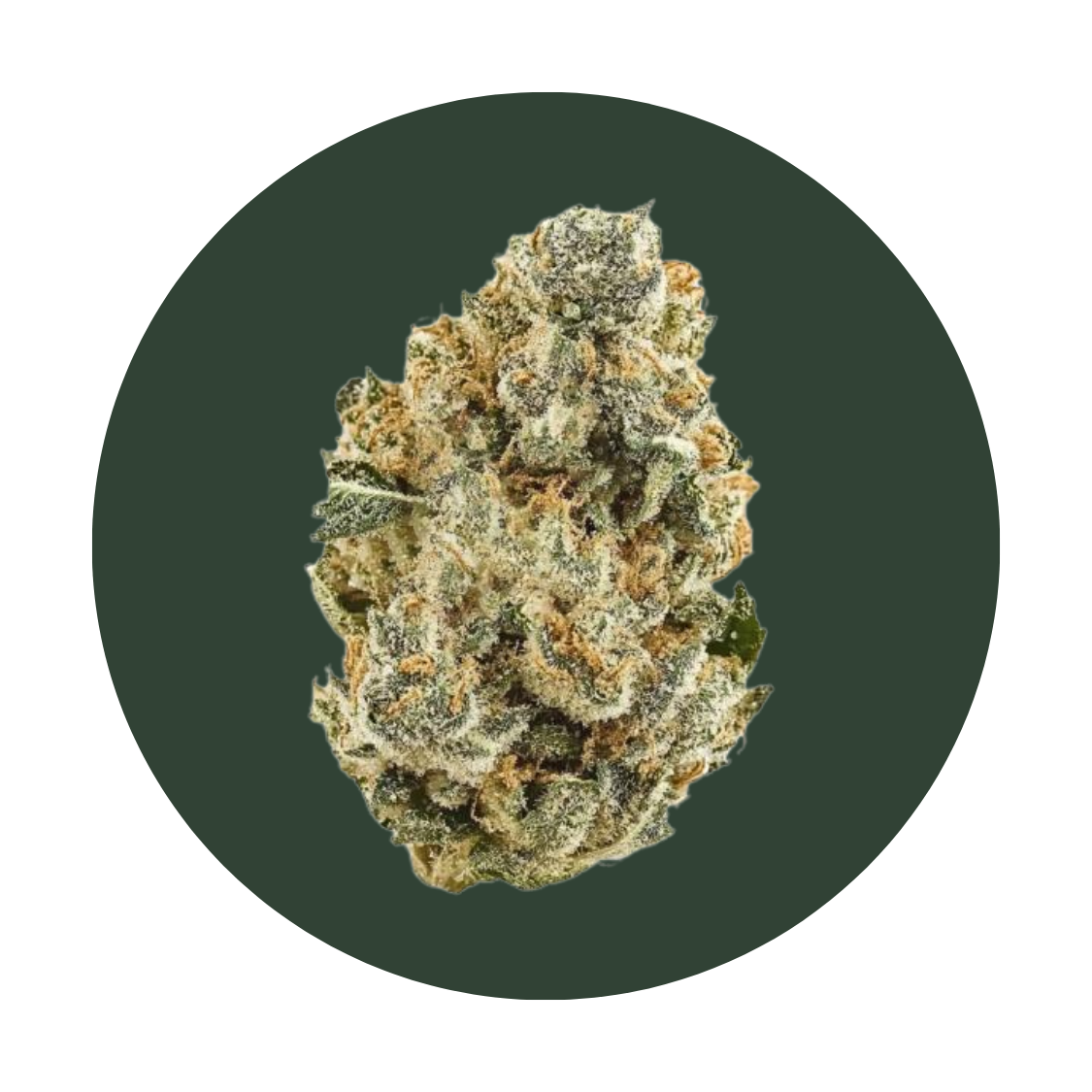 Jon Woo strain