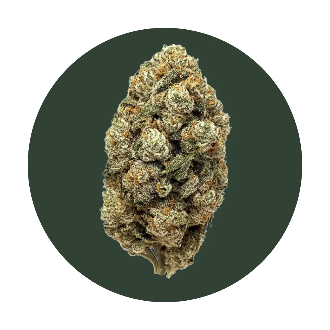 Jungle Canyon strain
