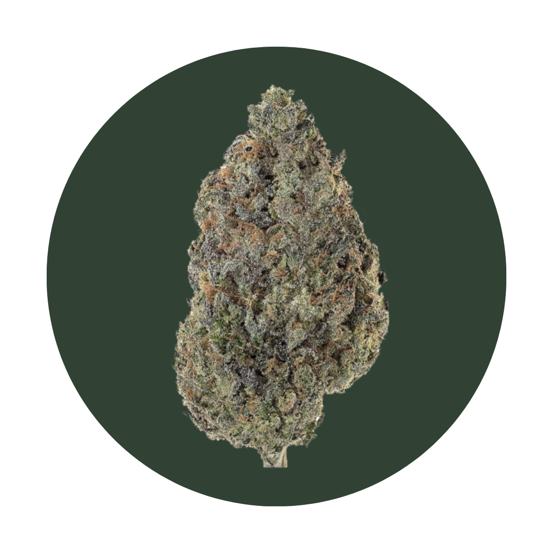 Jungle Sunset strain