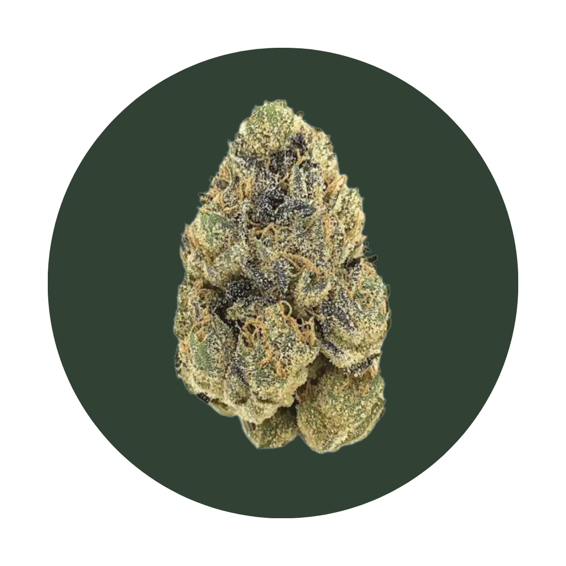 Key Lime Pie strain