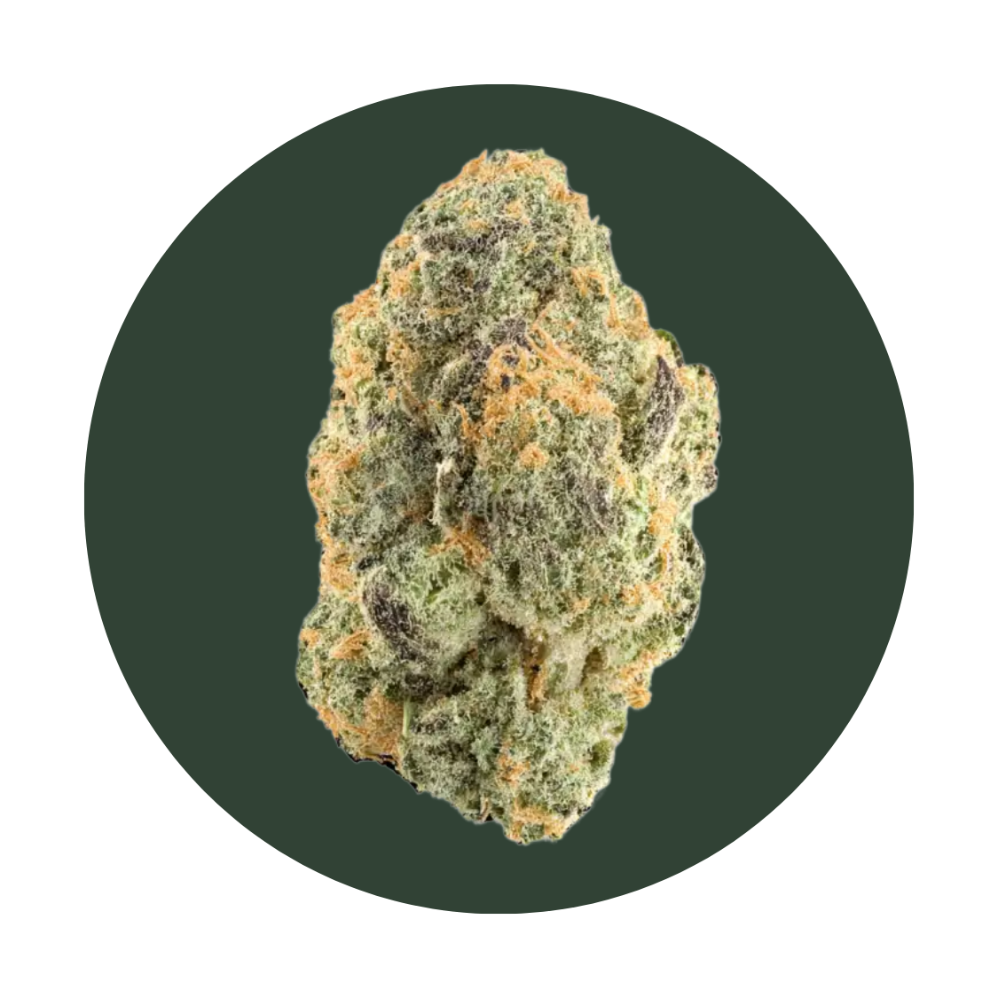 Kush Mints strain