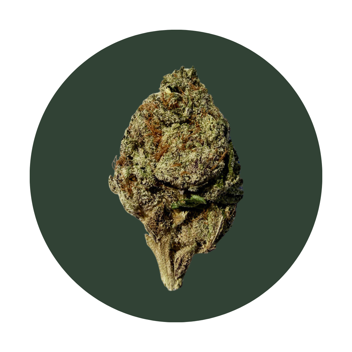 Lava Cake strain