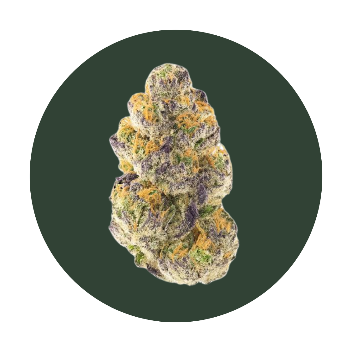 Lemon Cherry Sherbet strain