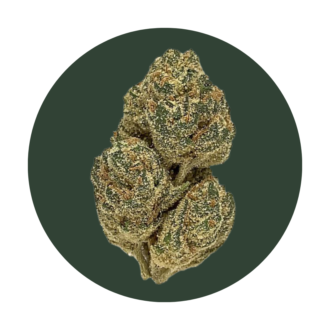 Lime OG strain