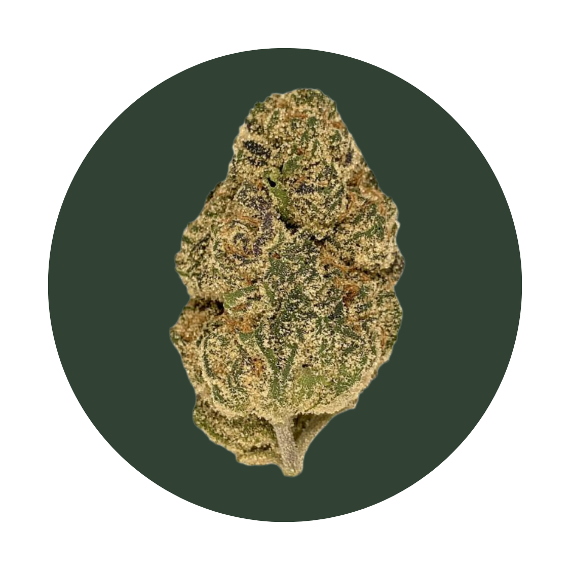London PC strain