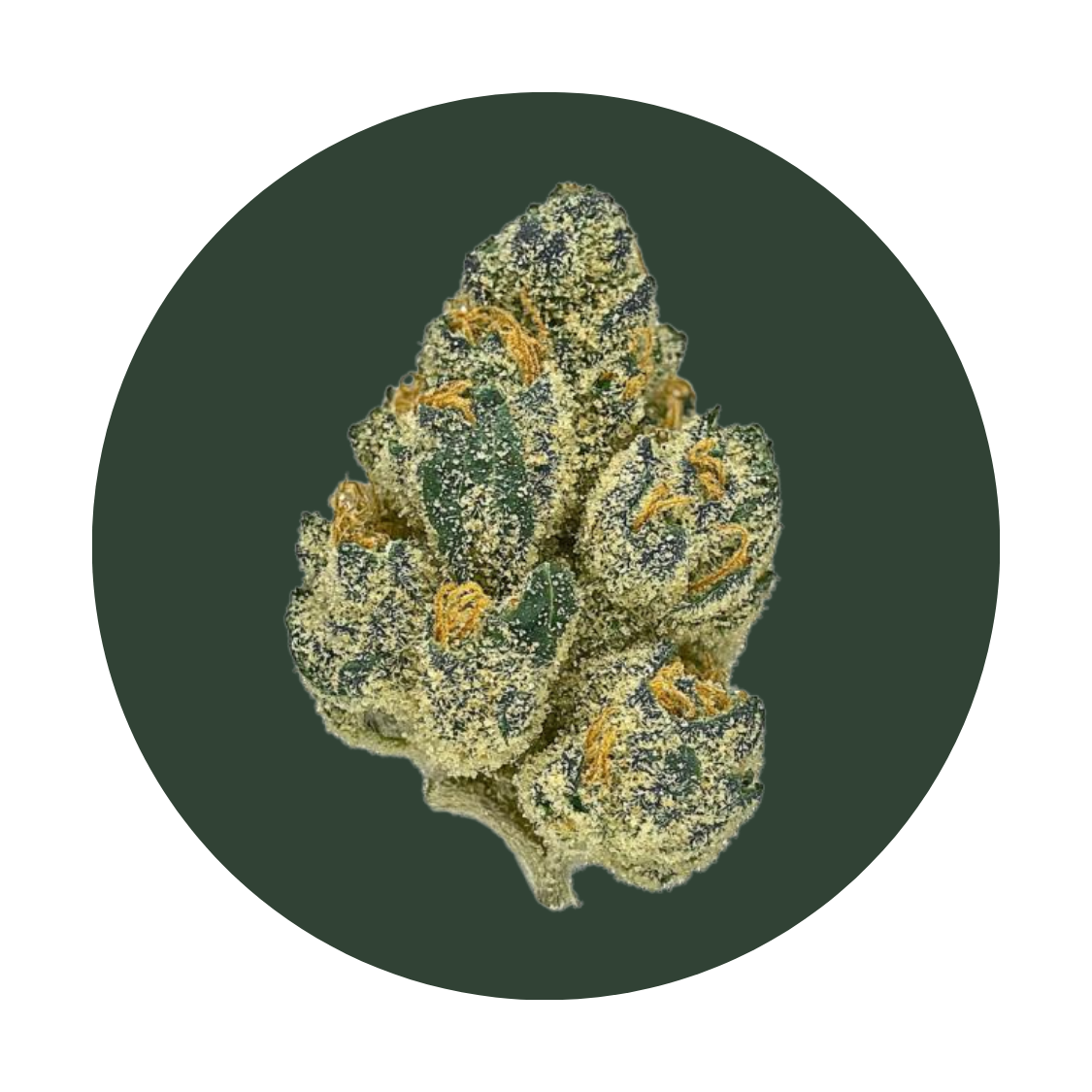 Loompas Headband strain