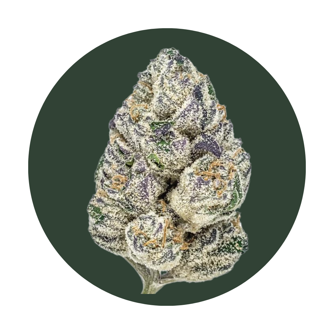 Mac Stomper strain