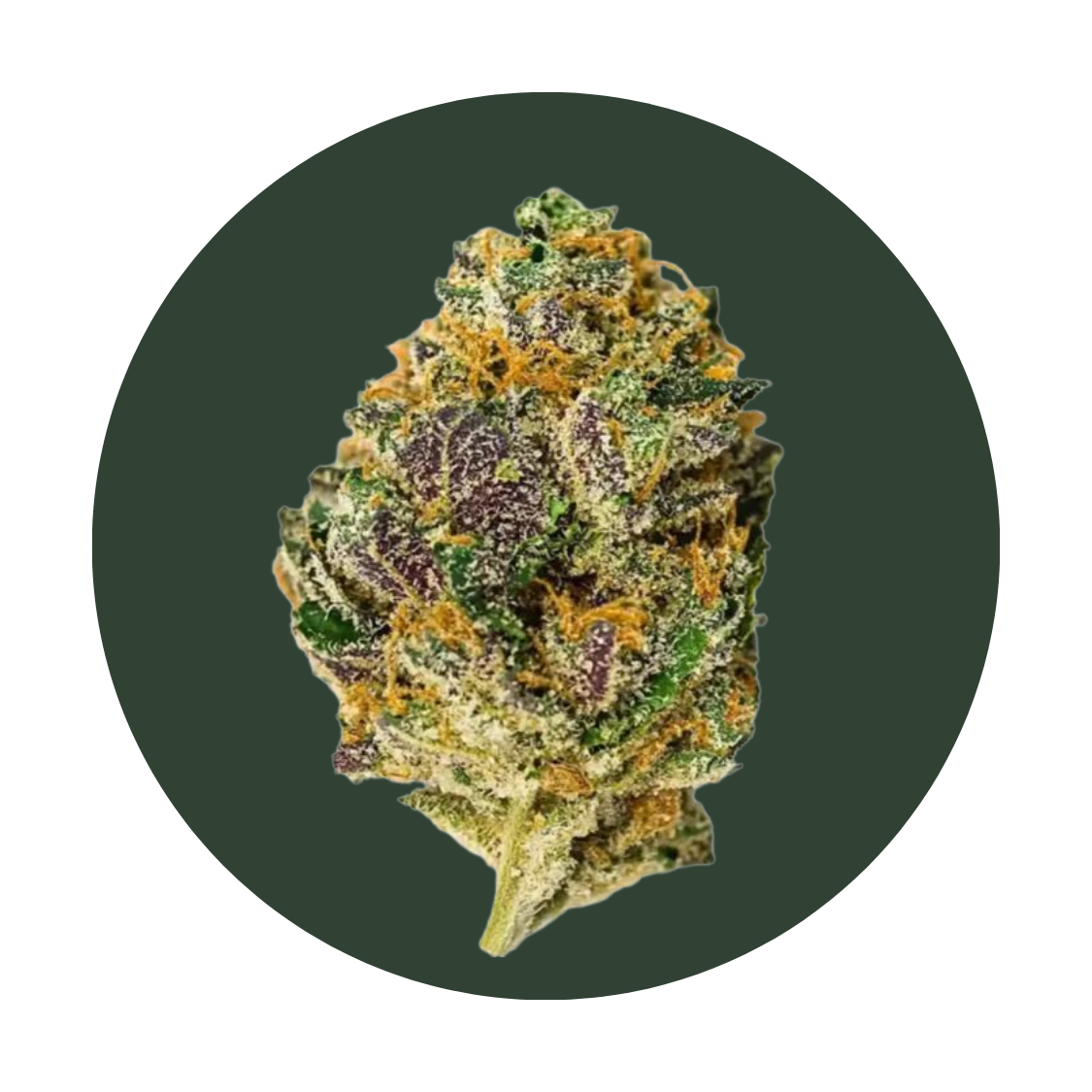 Mad Rabbid strain