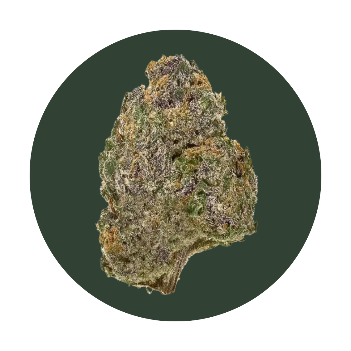 Marionberry Kush strain