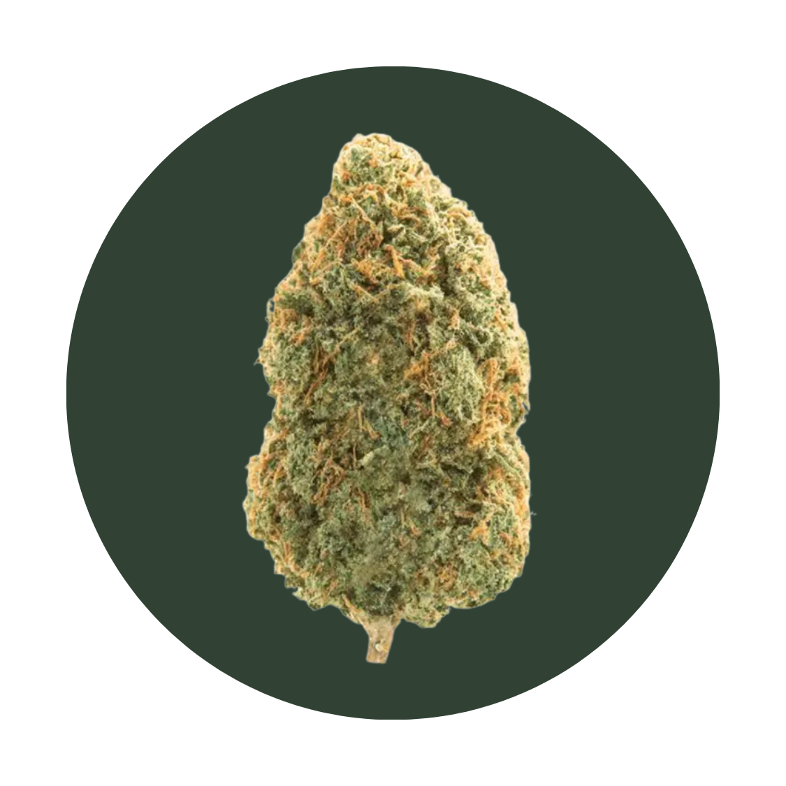 Maui Wowie strain