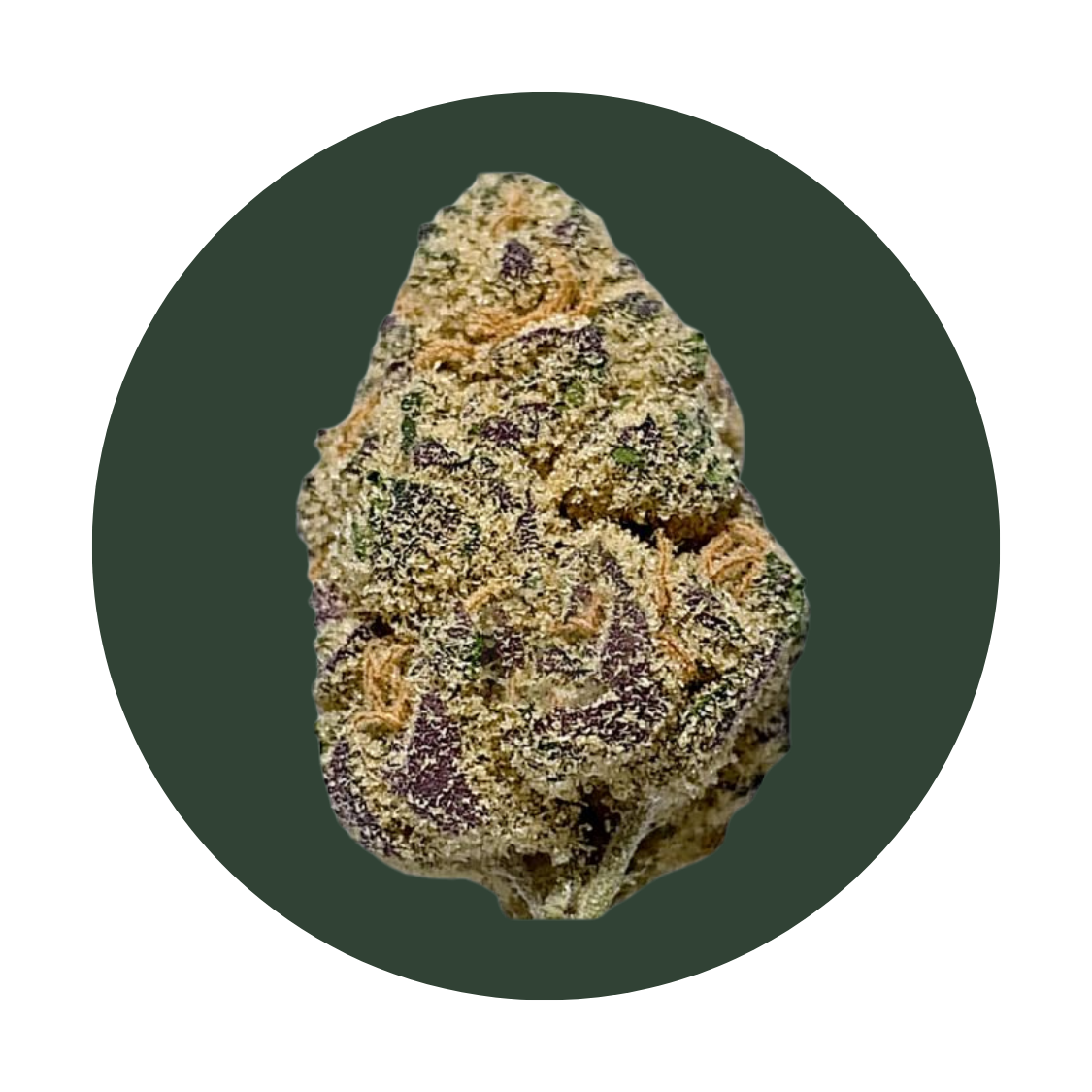 Meddellin strain