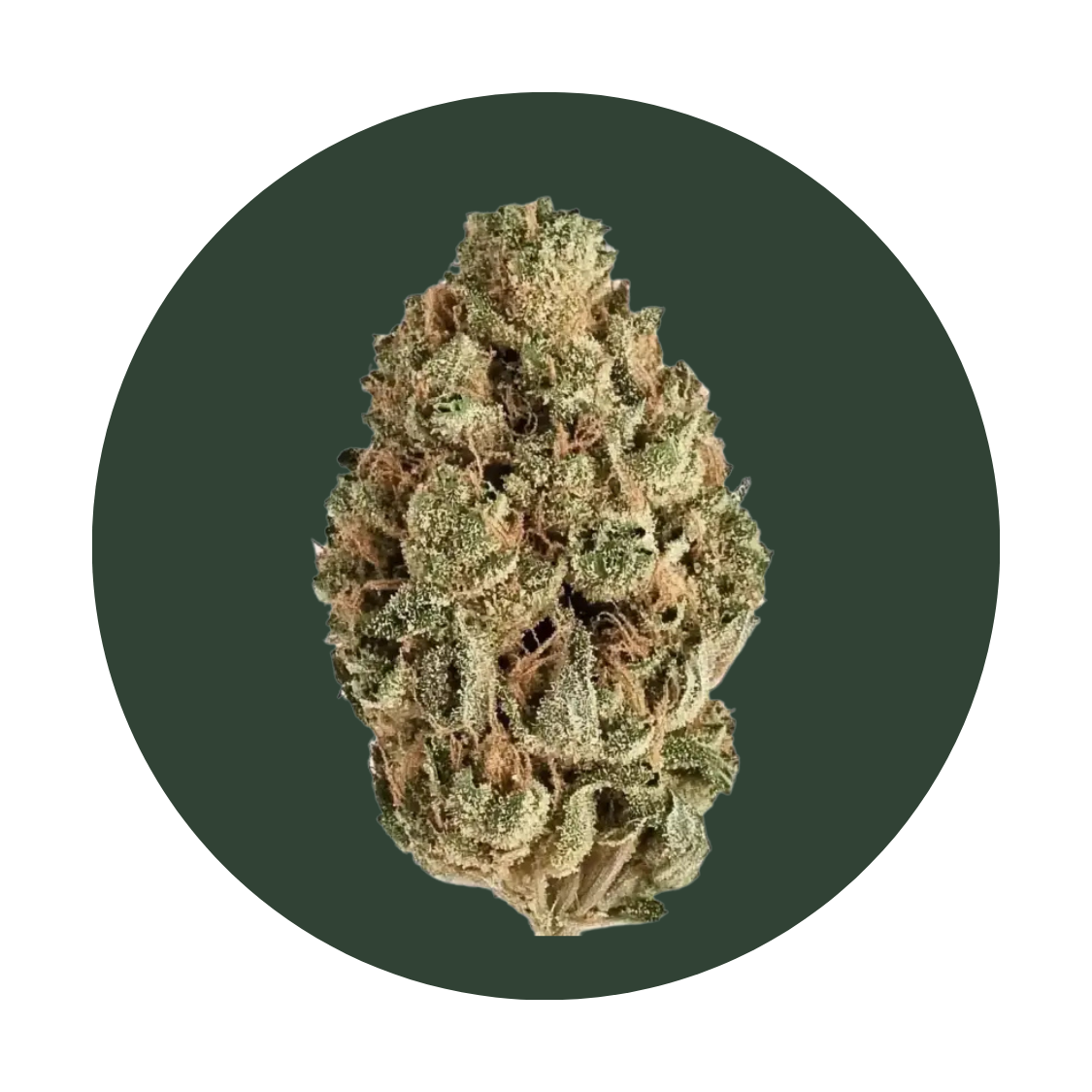 Melonaid strain