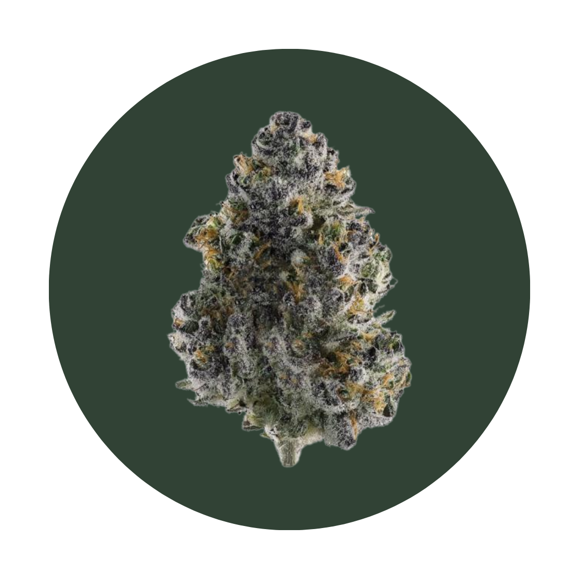 Metaverse strain