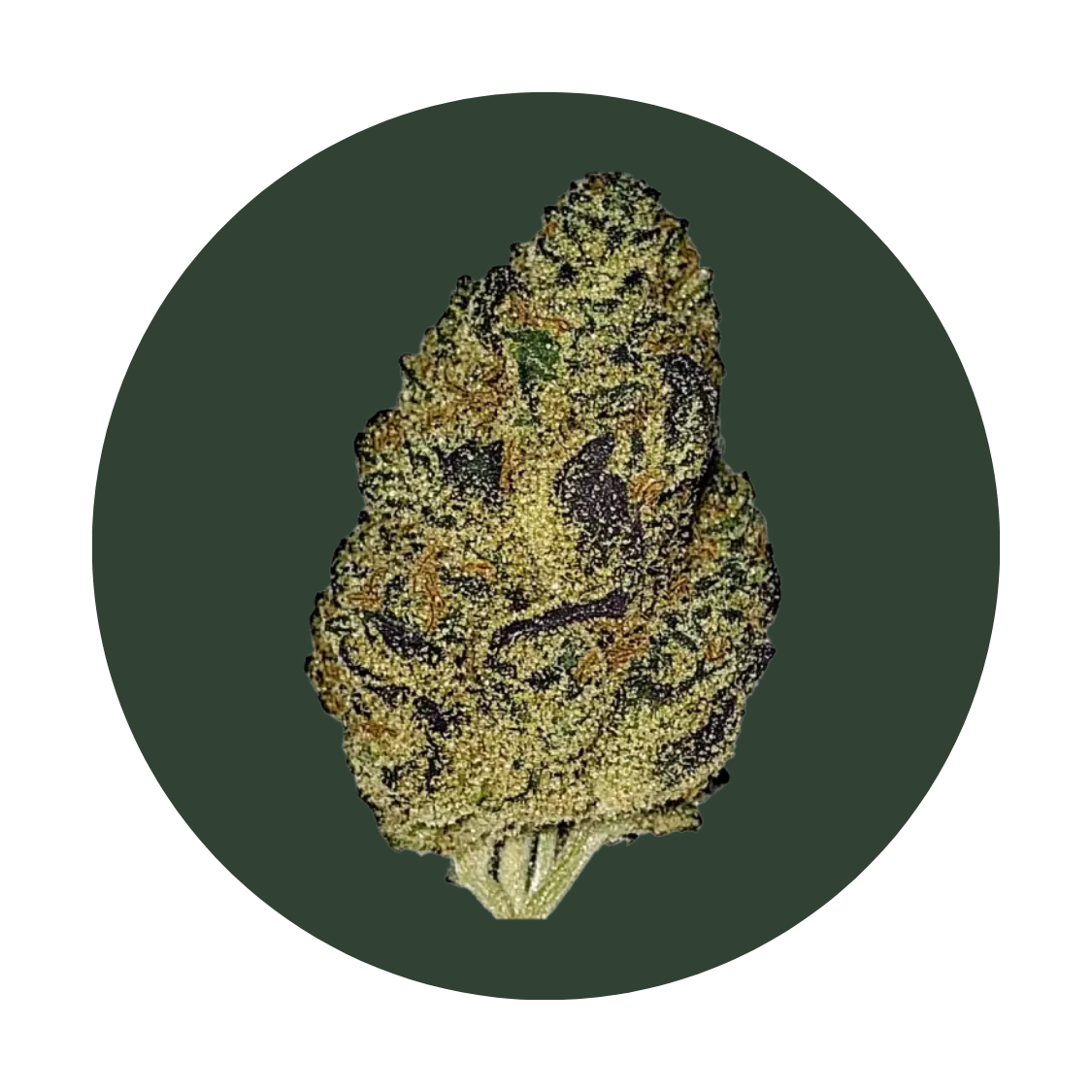Moobow strain