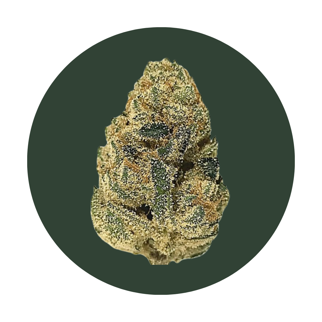 Mototrbreath15 strain